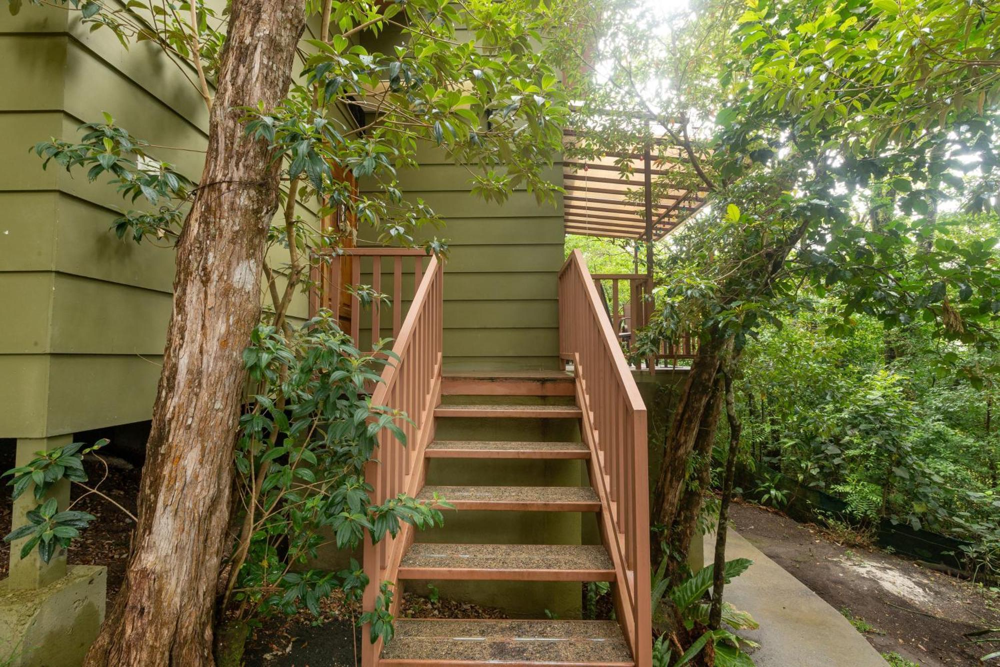 Casas Clusia Apartment Monteverde Exterior photo